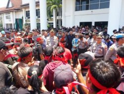 Kepala Daerah Turun Tangan! Ini Pernyataan Tegas Bupati Erlina Soal Konflik Warga Sadaniang dan PT AHAL