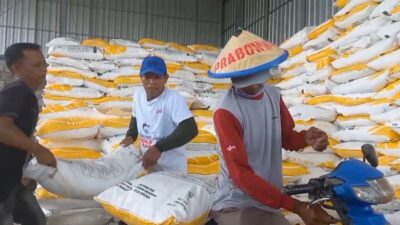 Harga Pupuk Masih Jadi Tantangan, Ekonom UI Usulkan Skema Subsidi Reimburse agar Lebih Tepat Sasaran