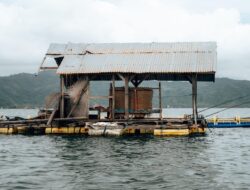 KKP dan JICA Kembangkan Perikanan Modern di Pulau Terluar