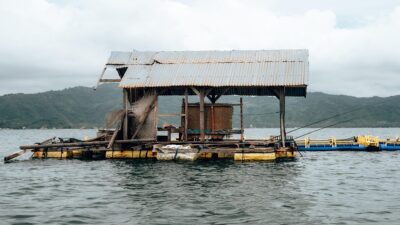 KKP dan JICA Kembangkan Perikanan Modern di Pulau Terluar