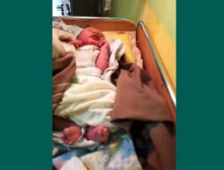 Menguak Misteri Bayi Dibuang di Kebun Kelapa Kubu Raya: Kronologi Dramatis dan Dugaan Motif Malu