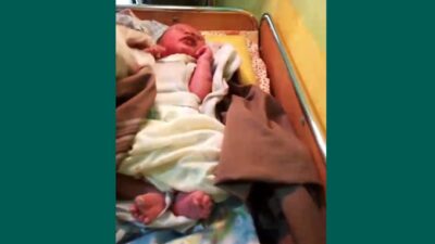 Menguak Misteri Bayi Dibuang di Kebun Kelapa Kubu Raya: Kronologi Dramatis dan Dugaan Motif Malu