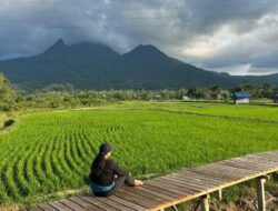 Memperkuat Ekonomi Lokal: Singkawang Dorong Pengembangan Agro Eduwisata Nyarumkop yang Edukatif dan Produktif