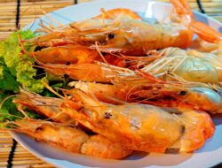 Udang Lokal Masih Jadi Primadona Nusantara Gairahkan Ekonomi Kreatif Maritim