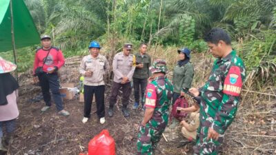 Dukung Swasembada Pangan, Koramil Air Besar Terjun ke Lahan Tanam Jagung di Landak