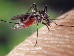 Sekda Seruyan Ingatkan Ancaman Malaria dan DBD, Ajak Perkuat Pencegahan