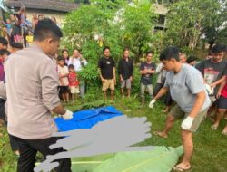 Pengendara Motor Tewas Tabrak Truk yang Hendak Menyeberang, Kecelakaan Maut di Jalan Sekadau-Sanggau