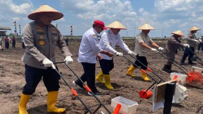 Tanam Jagung Serentak di Kalsel untuk Swasembada Pangan Nasional