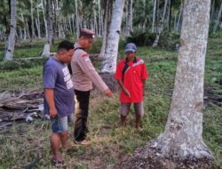 Polisi Kejar Pelaku: Bayi Laki-laki Ditemukan Hidup di Kebun Kelapa Kubu Raya