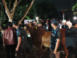 Radit FC Gondol Sapi: Turnamen Mini Soccer Bahasan Cup 2025 Sukses Jadi Model Sportivitas dan Kebersamaan di Pontianak