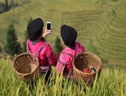 Gubernur Kaltara: Anak Muda Bisa Kelola Komoditas Pertanian Hanya Melalui Gawai