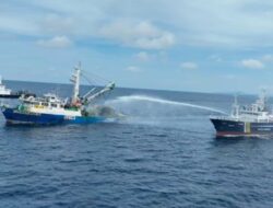 KKP Selamatkan Rp6,79 Triliun dari Praktik Ilegal Laut Termasuk Kasus Telur Penyu dan Arwana di Kalbar