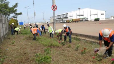 Dukung Program Pelabuhan Hijau, Pelindo Regional 2 Pontianak Gelar Aksi Tanam 500 Pohon