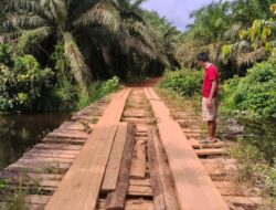 Infrastruktur Lumpuh: Jembatan Benipis Ketapang Rusak Berulang Kali, Tiga Desa Merasa Ditinggalkan Pemerintah
