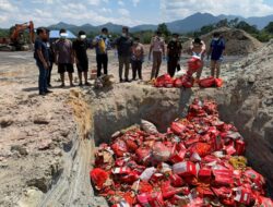 Cegah Hama Penyakit, Ratusan Kotak Wortel dan Kentang Ilegal dari Malaysia Dimusnahkan