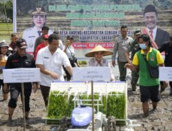 Lampaui Target 154 Persen, Landak Raih Capaian Luas Tambah Tanam Padi Tertinggi di Kalbar
