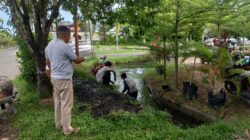 Rawan Genangan Air, Dinas PUTR Lakukan Normalisasi Drainase di Seputaran Kota Ketapang