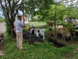 Rawan Genangan Air, Dinas PUTR Lakukan Normalisasi Drainase di Seputaran Kota Ketapang