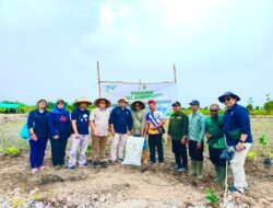 Mopakha dan KTH Mekar Bersama Hijaukan Desa Sukamaju melalui Agroforestry