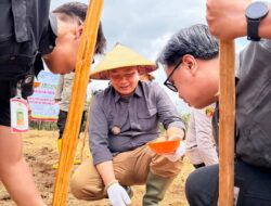 Alexander Wilyo Apresiasi Desa Ratu Elok Pelopori Penanaman Jagung Ketahanan Pangan