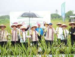 Sudaryono dan Norsan Dorong Revitalisasi Lidah Buaya untuk Perkuat Ekonomi Kalbar