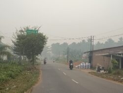KAJIAN Epidemiologi Menakar Dampak Kesehatan Masyarakat Akibat Karhutla di Kalbar