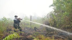 Kalbar Masuk Enam Provinsi Prioritas Penanganan Karhutla
