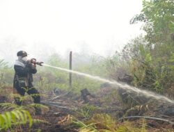 Kalbar Masuk Enam Provinsi Prioritas Penanganan Karhutla